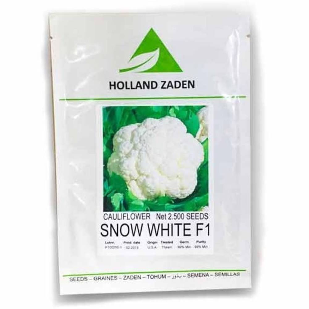 بذر گل کلم هیبرید اسنو وایت هلندزادن | Hybrid Cauliflower Snow White Holland Zaden