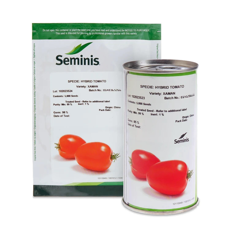 بذر گوجه سمینیس زمان 5000 عددی | Seminis Xaman F1 Tomato 5000seeds