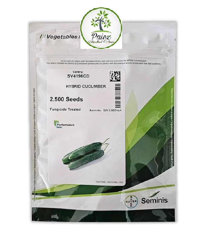 بذر خیار هیبربد 4196 سمینیس | Cucumber CV4196 F1 Seminis