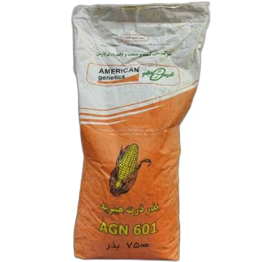 بذر ذرت هیبرید علوفه ای agn601 آمریکن ژنتیکس